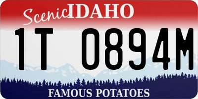 ID license plate 1T0894M