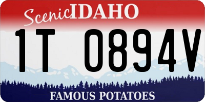 ID license plate 1T0894V