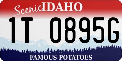 ID license plate 1T0895G
