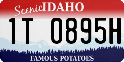 ID license plate 1T0895H