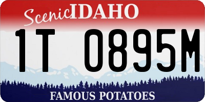 ID license plate 1T0895M