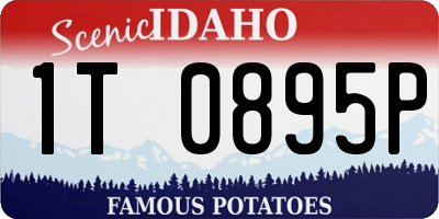 ID license plate 1T0895P