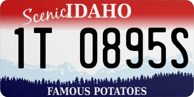 ID license plate 1T0895S
