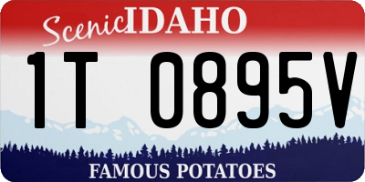 ID license plate 1T0895V
