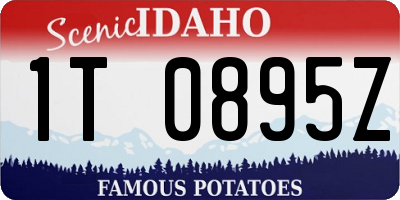 ID license plate 1T0895Z