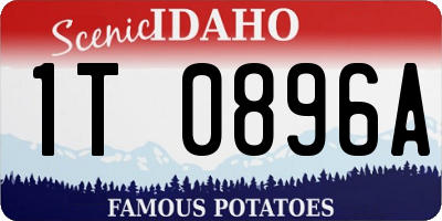 ID license plate 1T0896A