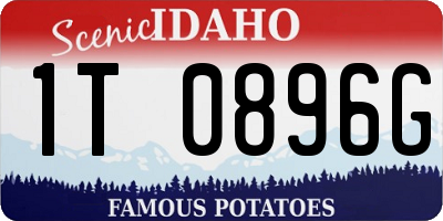 ID license plate 1T0896G