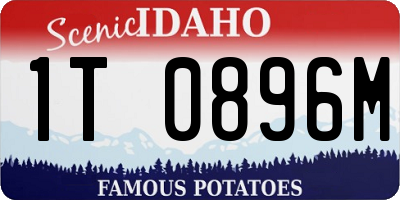 ID license plate 1T0896M