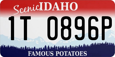 ID license plate 1T0896P