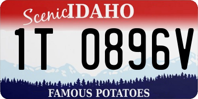 ID license plate 1T0896V