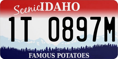 ID license plate 1T0897M