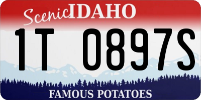 ID license plate 1T0897S
