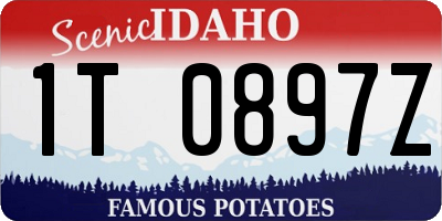 ID license plate 1T0897Z