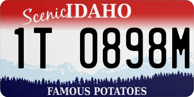 ID license plate 1T0898M