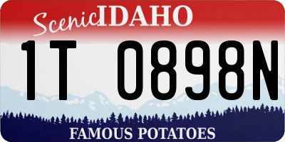 ID license plate 1T0898N