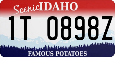 ID license plate 1T0898Z
