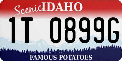 ID license plate 1T0899G