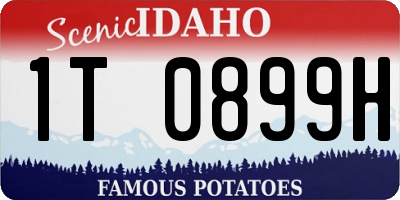 ID license plate 1T0899H
