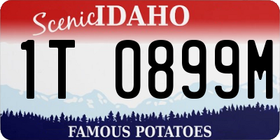 ID license plate 1T0899M