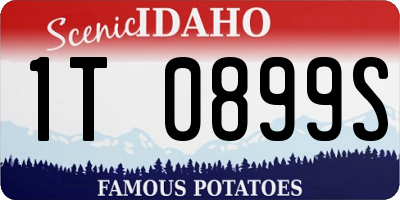 ID license plate 1T0899S