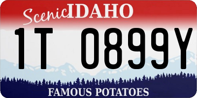 ID license plate 1T0899Y