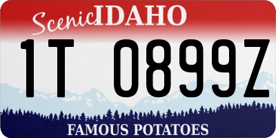 ID license plate 1T0899Z
