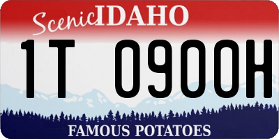 ID license plate 1T0900H
