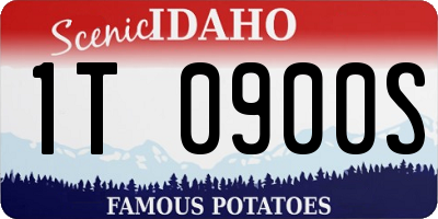 ID license plate 1T0900S