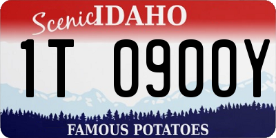 ID license plate 1T0900Y