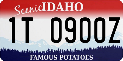 ID license plate 1T0900Z
