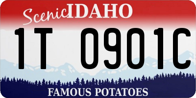 ID license plate 1T0901C