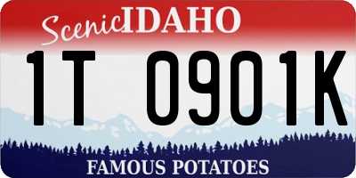 ID license plate 1T0901K
