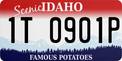 ID license plate 1T0901P