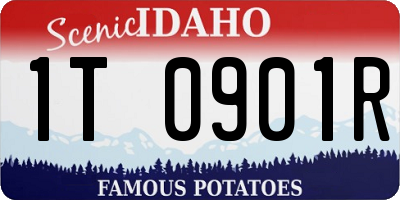 ID license plate 1T0901R