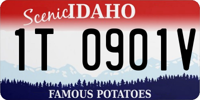 ID license plate 1T0901V