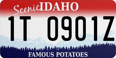 ID license plate 1T0901Z