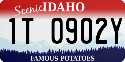 ID license plate 1T0902Y