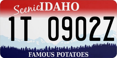 ID license plate 1T0902Z