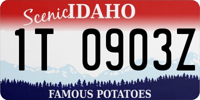ID license plate 1T0903Z