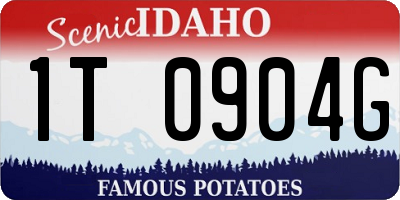 ID license plate 1T0904G