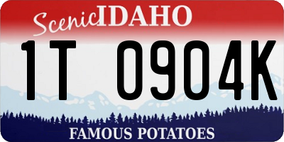 ID license plate 1T0904K