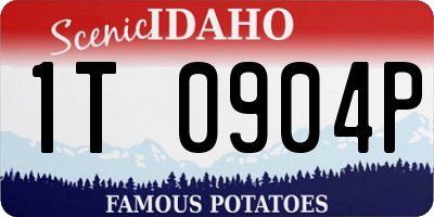 ID license plate 1T0904P