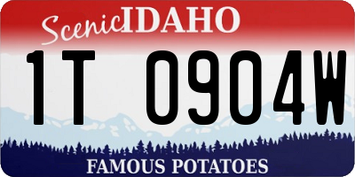 ID license plate 1T0904W