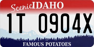 ID license plate 1T0904X