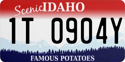 ID license plate 1T0904Y