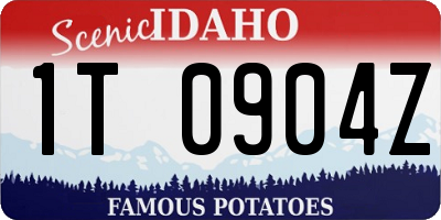 ID license plate 1T0904Z