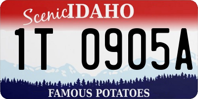 ID license plate 1T0905A