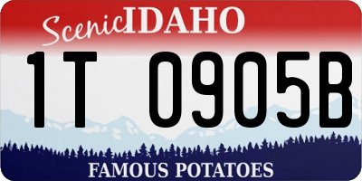 ID license plate 1T0905B