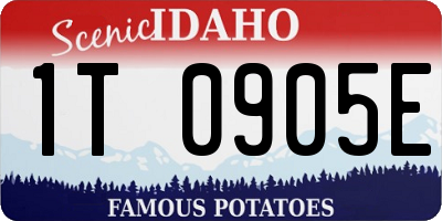 ID license plate 1T0905E