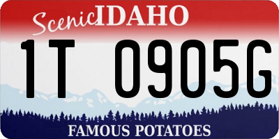 ID license plate 1T0905G